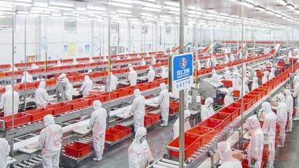 頻頻按下&ldquo;直播鍵&rdquo;,雙匯加速&ldquo;上線觸網&rdquo;穩定產業鏈供應鏈